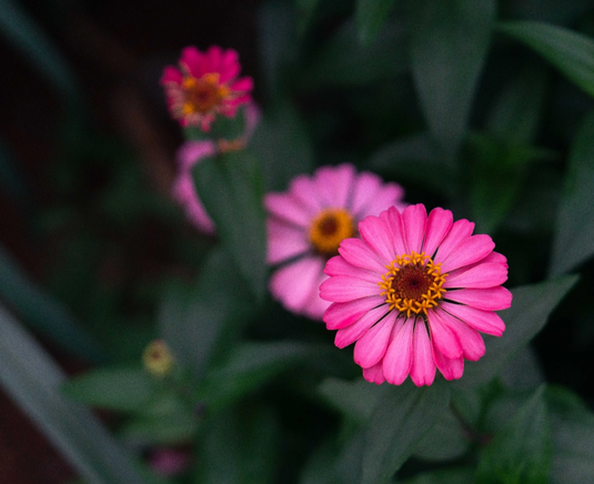 Untitled (2470 x 690 px) (1920 x 730 px) (553 x 553 px) (1)